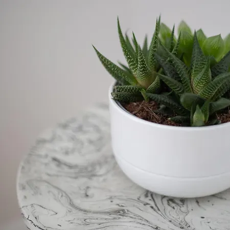 L2 Arena Gare Centre Reims