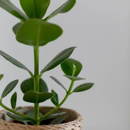 Apartment L2 Arena Gare Centre Reims