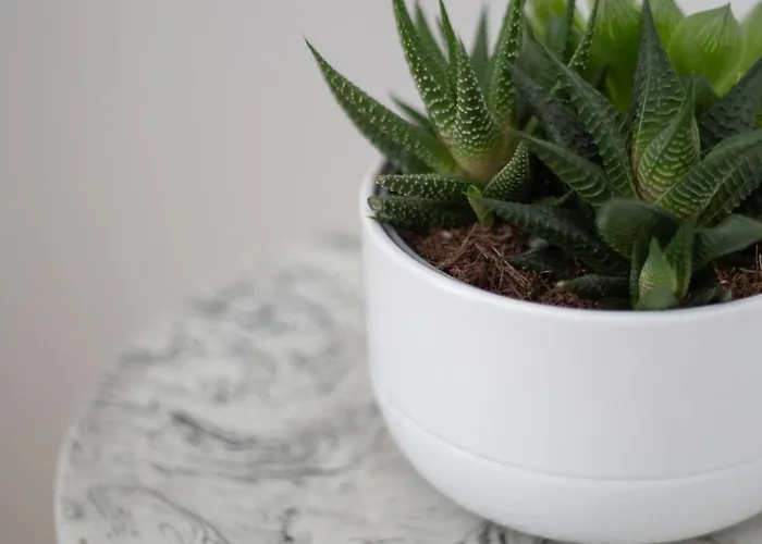 L2 Arena Gare Centre Reims