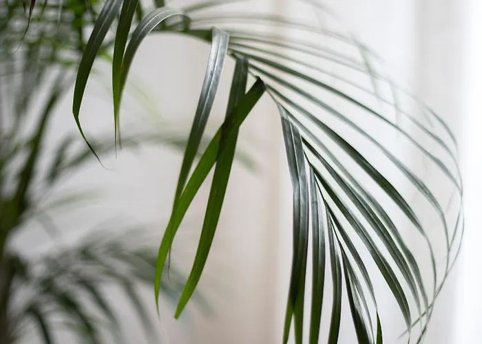 L2 Arena Gare Centre *